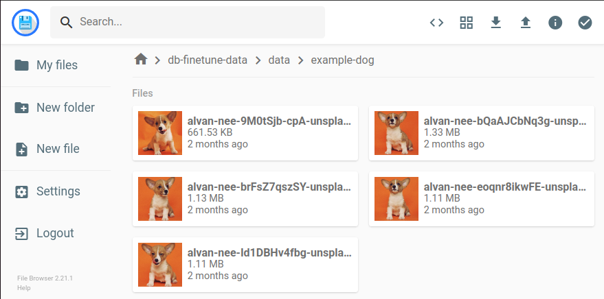 An example dataset containing images of a dog